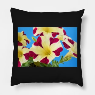 Petunia  Amore Queen of Hearts  Amore series Pillow