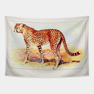 Cheetah illustration Tapestry