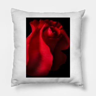 You Kissed My Soul Pillow