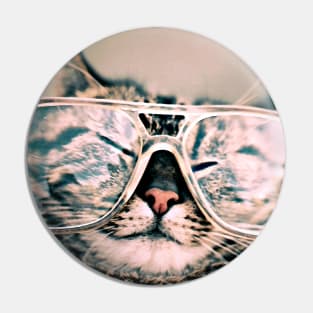 Cat with Funny Glasses Pin