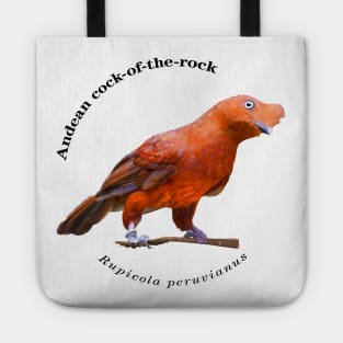 Andean cock-of-the-rock tropical bird pin black text Tote