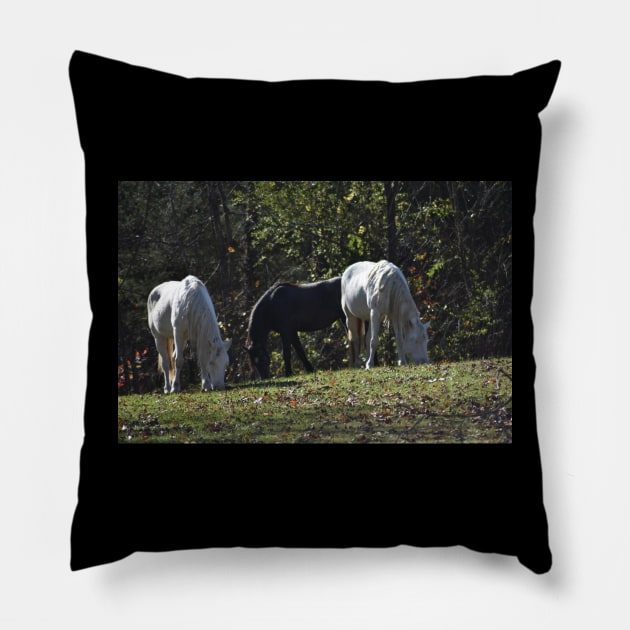 Wild Horse Herd Pillow by MarieDarcy