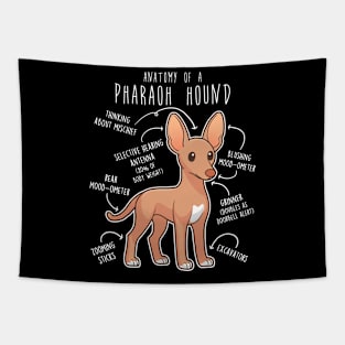 Pharaoh Hound Dog Anatomy Tapestry