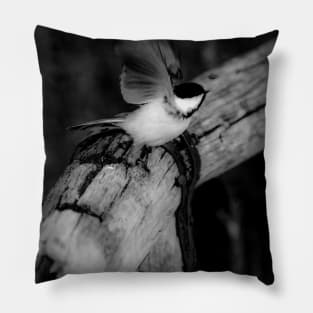 Chickadee taking flight in black and white. Pillow