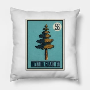 No.56 Interior Grand Fir Pillow