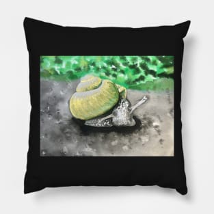 Snail Pillow