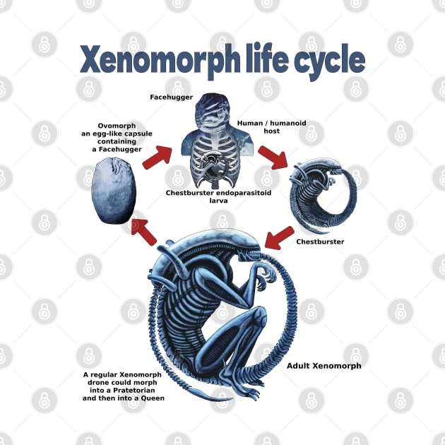 Xenomorph life cycle by SPACE ART & NATURE SHIRTS 