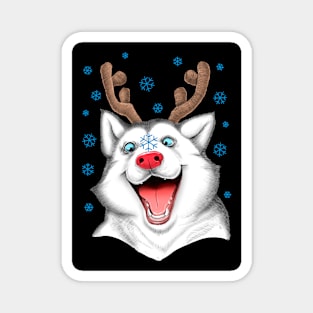 Husky Rudolph on black Magnet