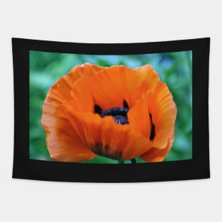 Red Poppy Tapestry