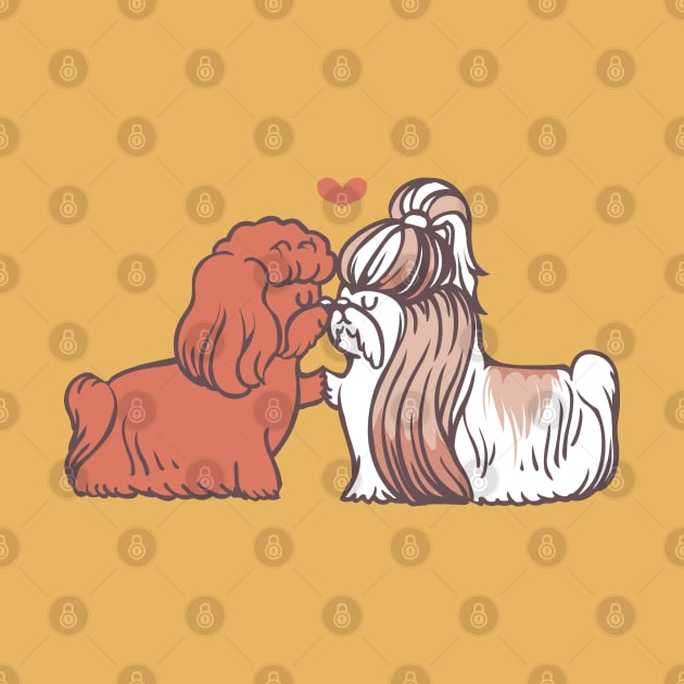 Shih Tzu Kisses by huebucket