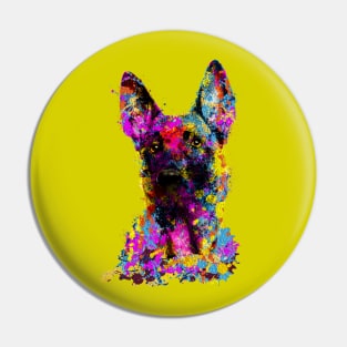 Malinois puppy  - Belgian shepherd - Mechelaar Pin