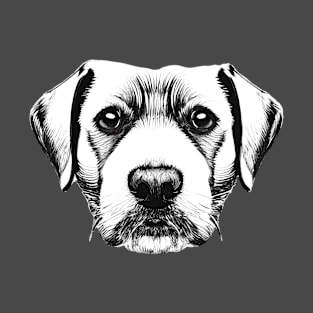 German Labrador Illustration T-Shirt