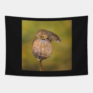 Harvest Mouse on seedpod Tapestry