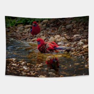 Crimson Rosella_3650A Tapestry