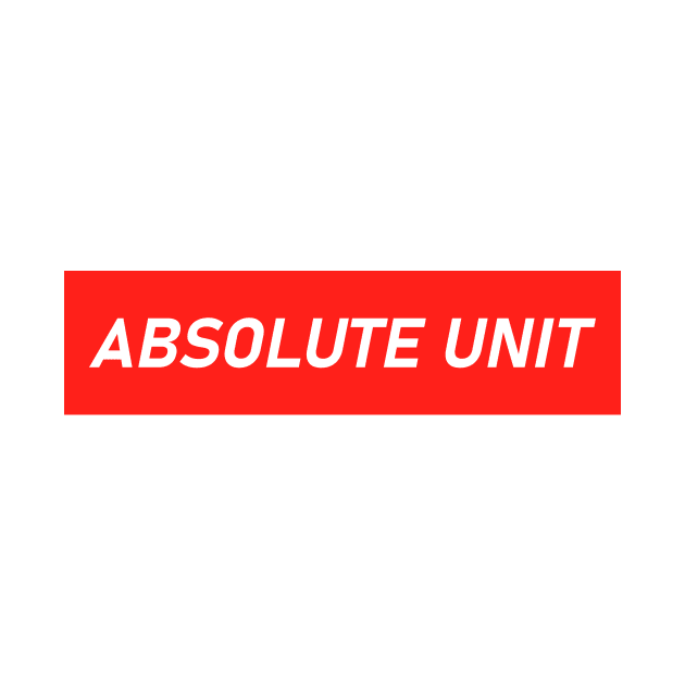 ABSOLUTE UNIT by AKdesign