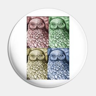 House Colors Owl Pin