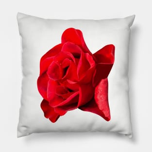 Red Rose Pillow