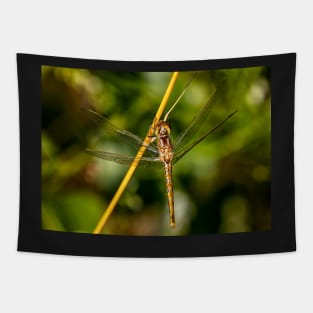 Dragonfly Portrait Tapestry