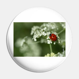 Ladybug & Hemlock Pin