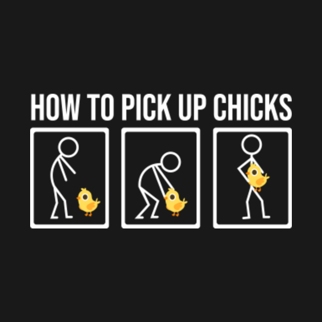 How To Pick Up Chicks Geeky Humor T Shirt Teepublic 