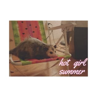 hot girl summer possum edition T-Shirt