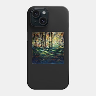 Winterthur in November Phone Case