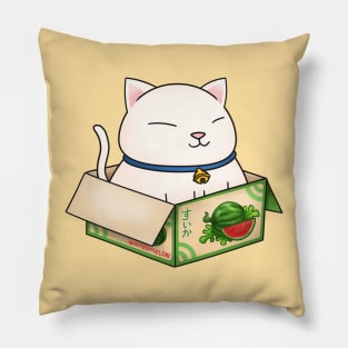 White Chubby Cat in Watermelon Box Pillow