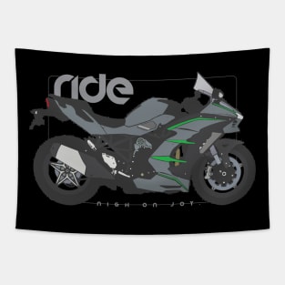 RIde ninja h2 sx se+ gray Tapestry