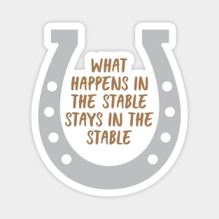 Happens In The Stable Magnet