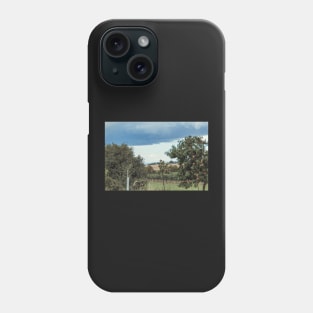 Beautiful landscape Phone Case