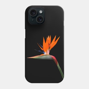 Bird of Paradise Cutout Phone Case