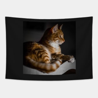 Weasley the ginger tabby Tapestry