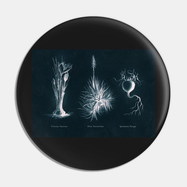 Cyanotype - Triptych 03 Pin by PixelHunter