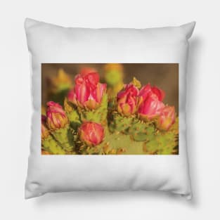 Prickly Pear Cactus Blossoms Pillow