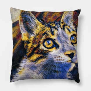 Abstract Colorful Cat Painting Pillow