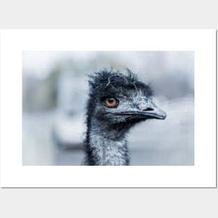 Funny Emu Bird Gifts, Funny Emo Music Quote - Emu Bird Gift - Tapestry