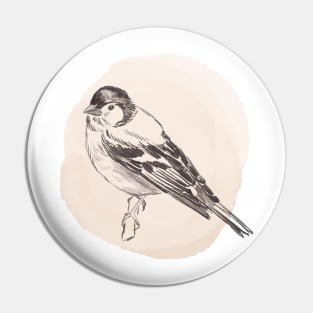 Hand drawn illustration of chaffinch bird Pin