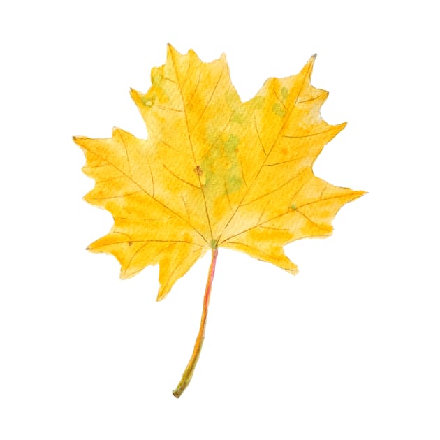 one yellow leaf watercolor by colorandcolor