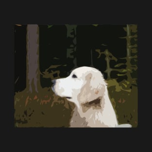 Mymla - Golden Retriever in the woods T-Shirt