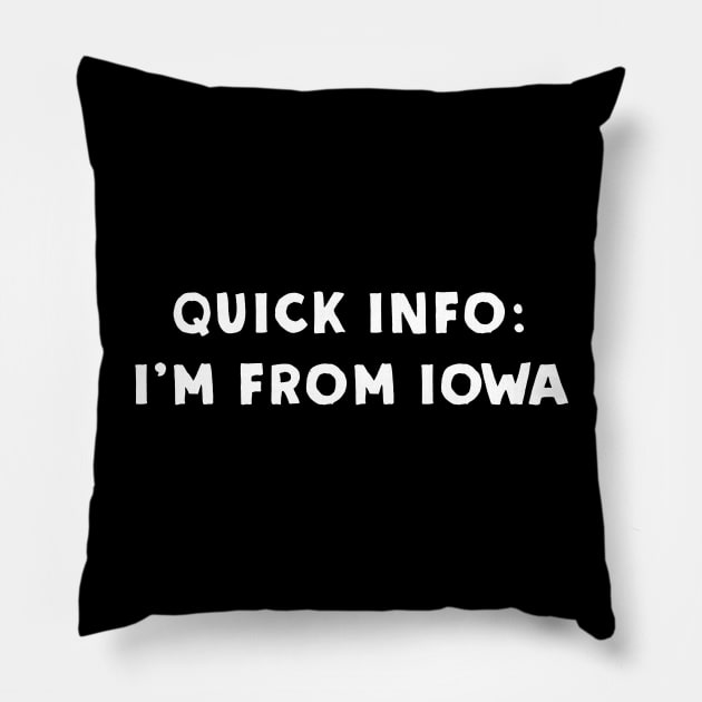 Iowa Cool & Funny Pillow by Novel_Designs