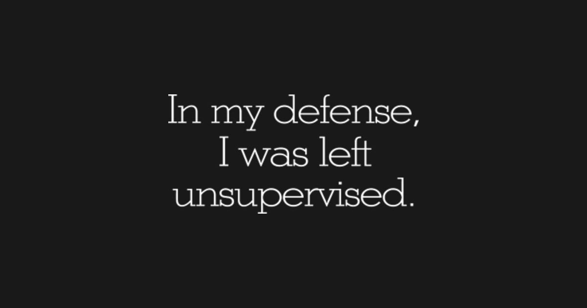 In my defense, I was left unsupervised - In My Defense I Was Left ...