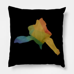 Rainbow triangle bloom Pillow