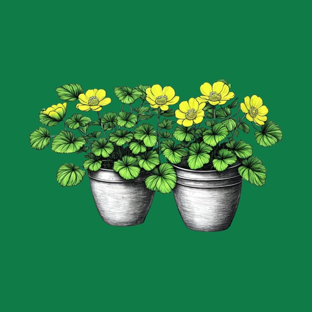 Buttercup Flowers by XtremePizels