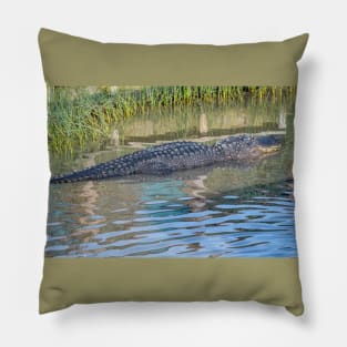 Big Padre Alligator Pillow