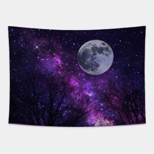 Galaxy Moon Tapestry