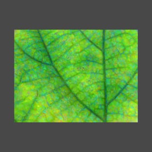 Leaf Macro Photo Painting T-Shirt