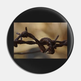 Barbed Wire by Avril Thomas at Magpie Springs Pin