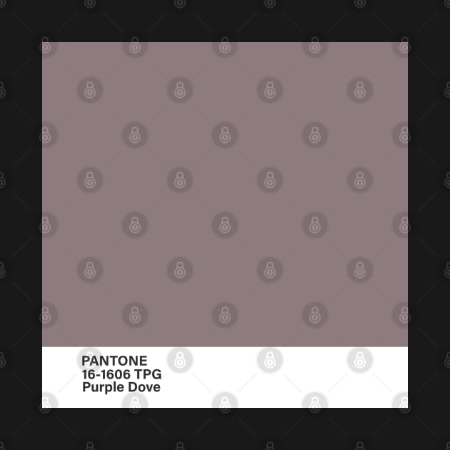 pantone 16-1606 TPG Purple Dov by princessmi-com