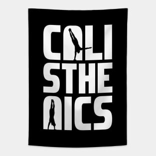 Calisthenics Tapestry