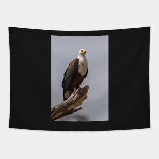 African Fish Eagle Tapestry